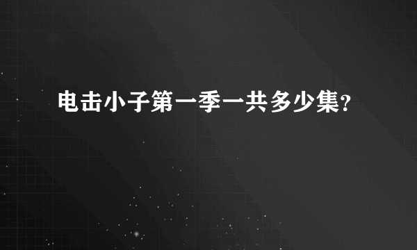 电击小子第一季一共多少集？