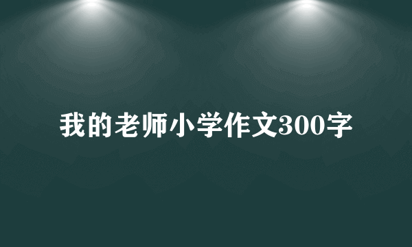 我的老师小学作文300字