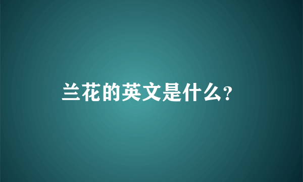 兰花的英文是什么？