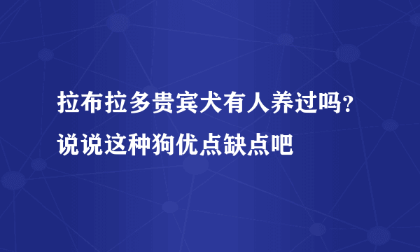 拉布拉多贵宾犬有人养过吗？说说这种狗优点缺点吧