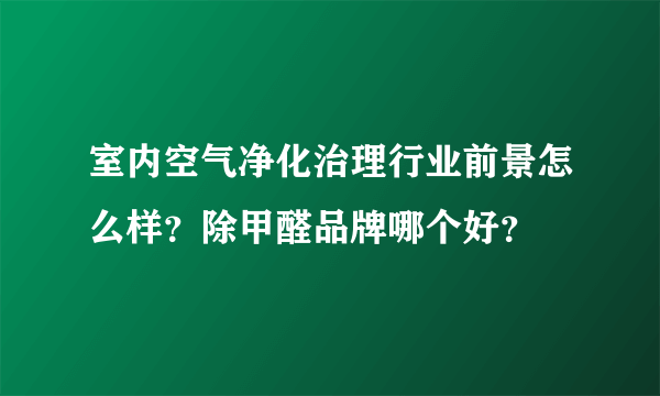 室内空气净化治理行业前景怎么样？除甲醛品牌哪个好？