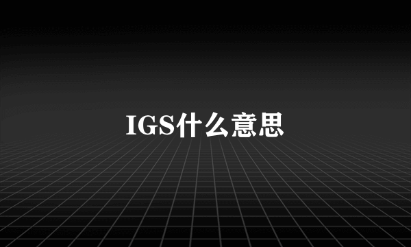 IGS什么意思