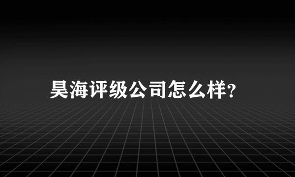 昊海评级公司怎么样？