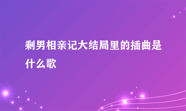 剩男相亲记大结局里的插曲是什么歌