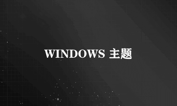 WINDOWS 主题