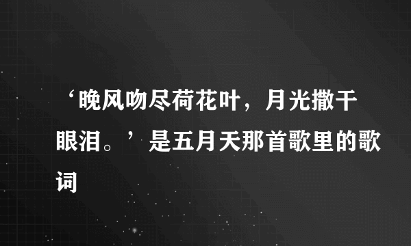 ‘晚风吻尽荷花叶，月光撒干眼泪。’是五月天那首歌里的歌词