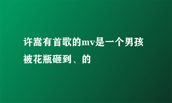 许嵩有首歌的mv是一个男孩被花瓶砸到、的