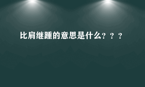 比肩继踵的意思是什么？？？