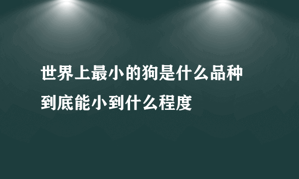 世界上最小的狗是什么品种 到底能小到什么程度