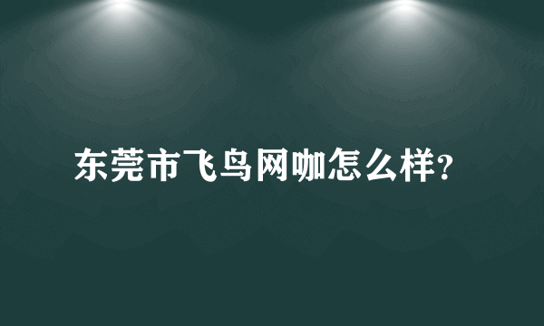 东莞市飞鸟网咖怎么样？