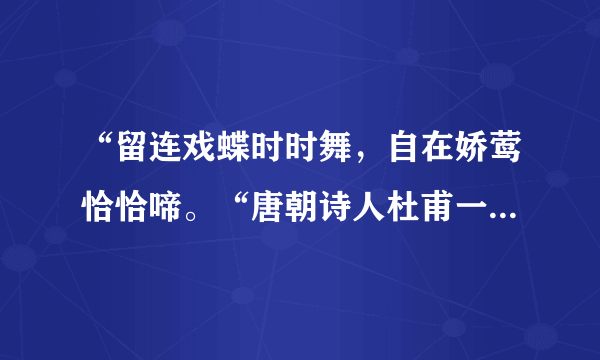 “留连戏蝶时时舞，自在娇莺恰恰啼。“唐朝诗人杜甫一首《江畔独...