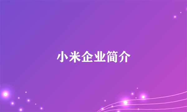 小米企业简介