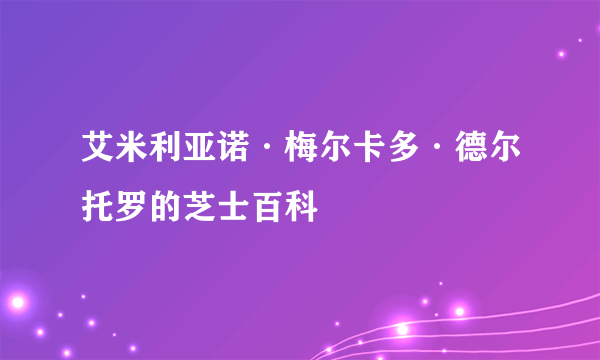 艾米利亚诺·梅尔卡多·德尔托罗的芝士百科