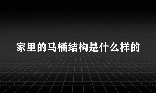 家里的马桶结构是什么样的