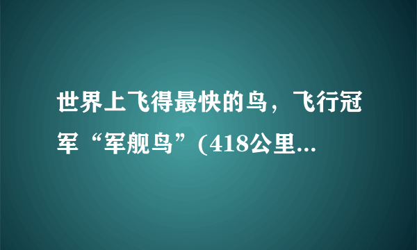 世界上飞得最快的鸟，飞行冠军“军舰鸟”(418公里/小时)