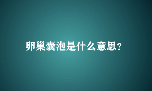 卵巢囊泡是什么意思？