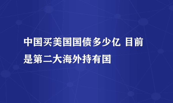 中国买美国国债多少亿 目前是第二大海外持有国