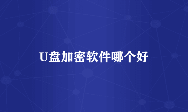 U盘加密软件哪个好