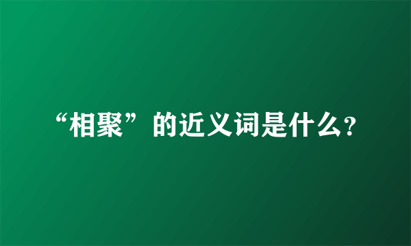 “相聚”的近义词是什么？