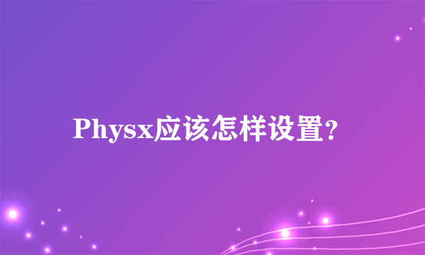 Physx应该怎样设置？