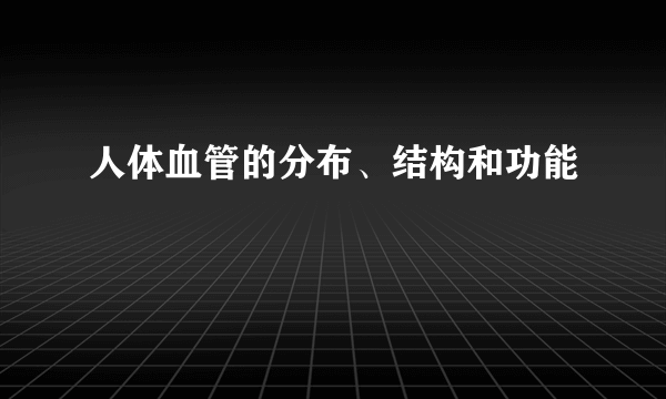 人体血管的分布、结构和功能