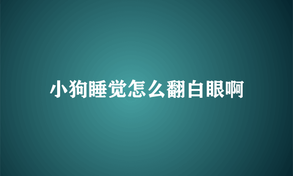 小狗睡觉怎么翻白眼啊