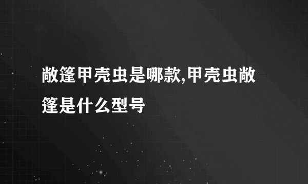 敞篷甲壳虫是哪款,甲壳虫敞篷是什么型号