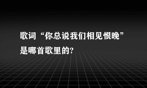 歌词“你总说我们相见恨晚”是哪首歌里的?