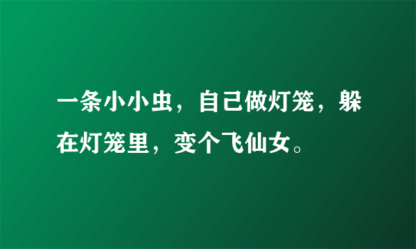 一条小小虫，自己做灯笼，躲在灯笼里，变个飞仙女。