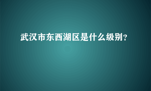 武汉市东西湖区是什么级别？