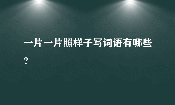 一片一片照样子写词语有哪些？