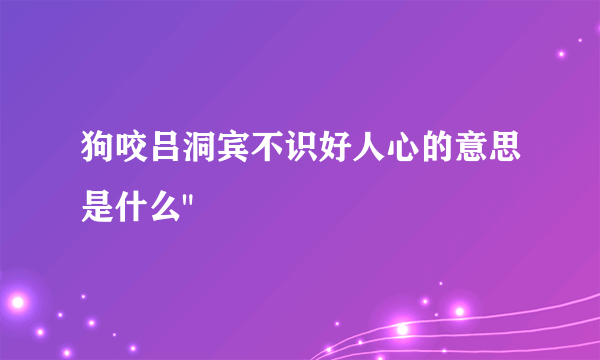 狗咬吕洞宾不识好人心的意思是什么