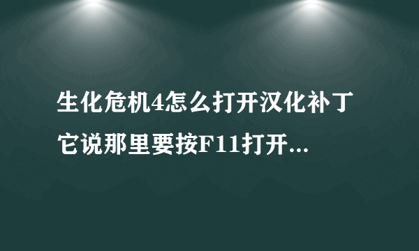 生化危机4怎么打开汉化补丁 它说那里要按F11打开/关闭汉化补丁 但我进了游戏就是按了就不见汉化