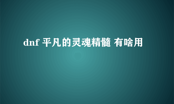 dnf 平凡的灵魂精髓 有啥用