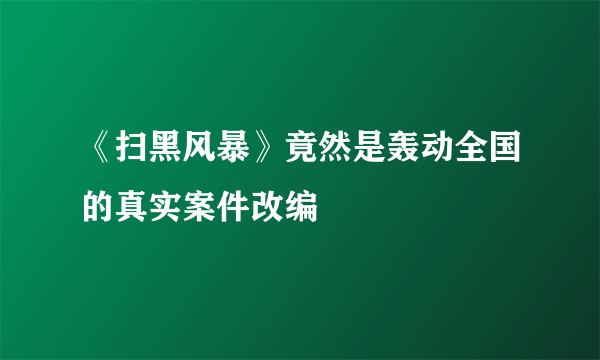 《扫黑风暴》竟然是轰动全国的真实案件改编