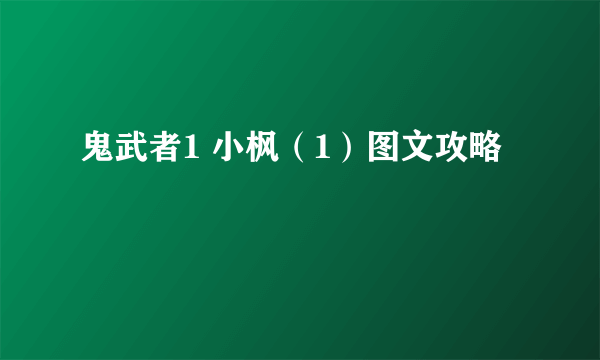 鬼武者1 小枫（1）图文攻略