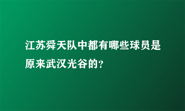 江苏舜天队中都有哪些球员是原来武汉光谷的？