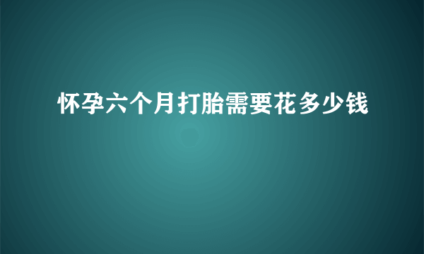 怀孕六个月打胎需要花多少钱