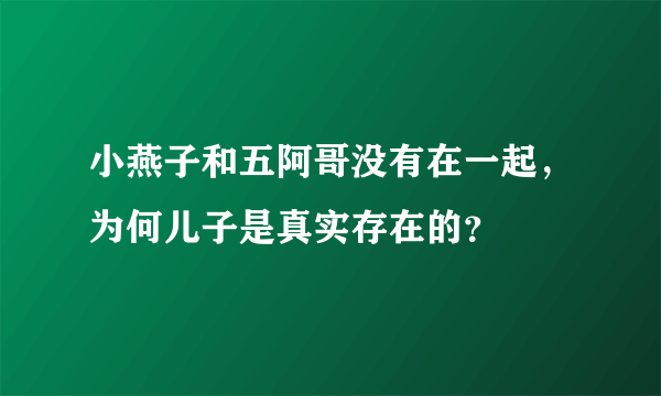 小燕子和五阿哥没有在一起，为何儿子是真实存在的？