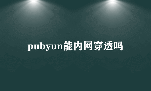 pubyun能内网穿透吗