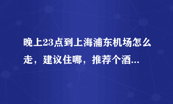 晚上23点到上海浦东机场怎么走，建议住哪，推荐个酒店。坐什么车呢