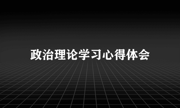 政治理论学习心得体会