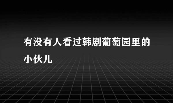 有没有人看过韩剧葡萄园里的小伙儿