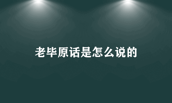 老毕原话是怎么说的