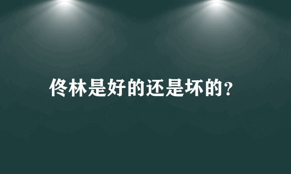 佟林是好的还是坏的？