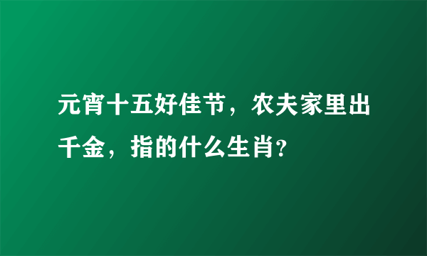 元宵十五好佳节，农夫家里出千金，指的什么生肖？