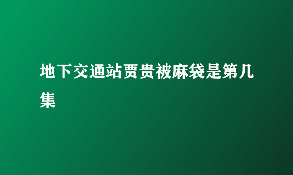 地下交通站贾贵被麻袋是第几集