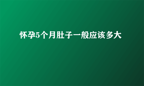 怀孕5个月肚子一般应该多大