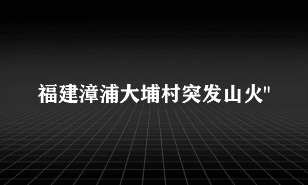 福建漳浦大埔村突发山火