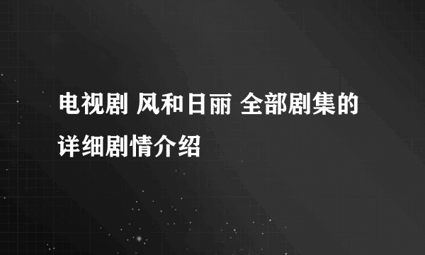 电视剧 风和日丽 全部剧集的详细剧情介绍